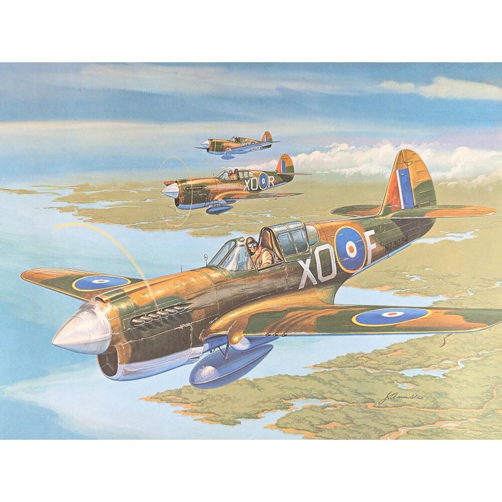 Vintage 16x20" John Amendola Aviation Lithograph Print Curtiss P-40E Kittyhawk,